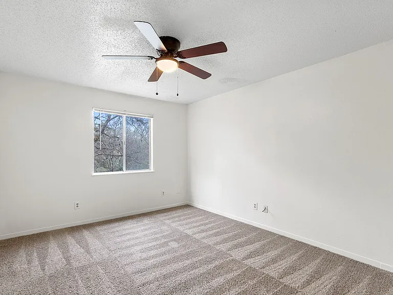 Chestnut Place Apartments — Photo 38