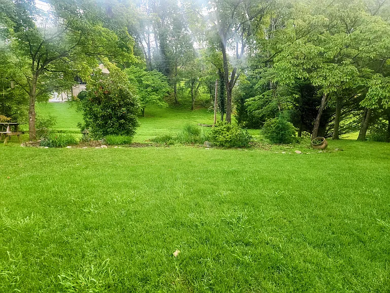 5329 Cave Spring Ln — Photo 2