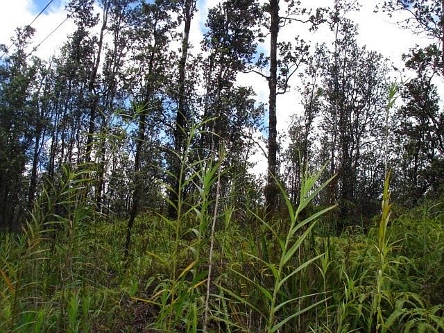 1st image of Road 3 Hopue Lot 3135