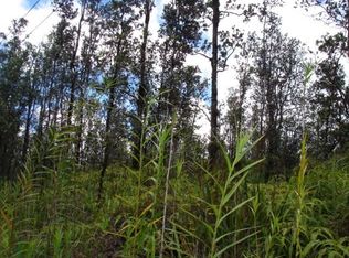 Road 3 Hopue LOT 3135, Mountain View, HI 96771