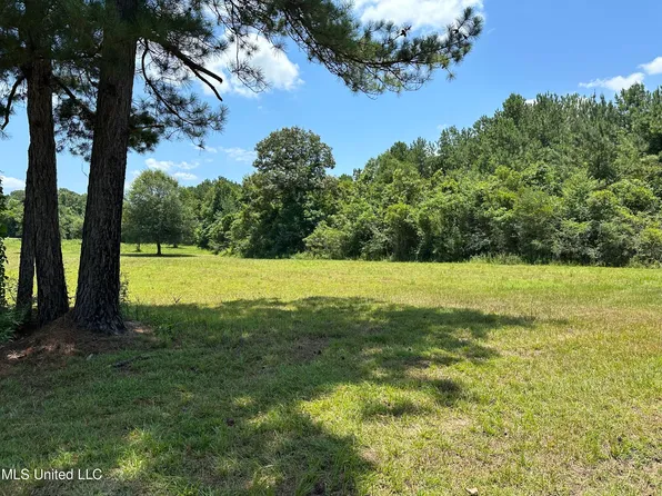 Flynn Rd, Poplarville, MS 39470