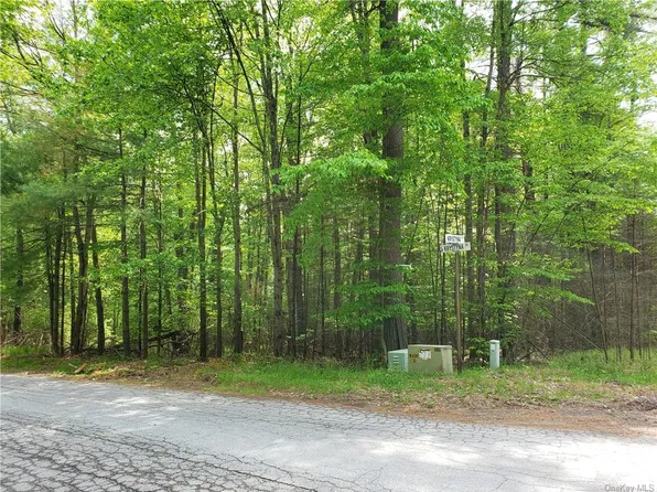 5 Andrew Ln, White Lake, NY 12786