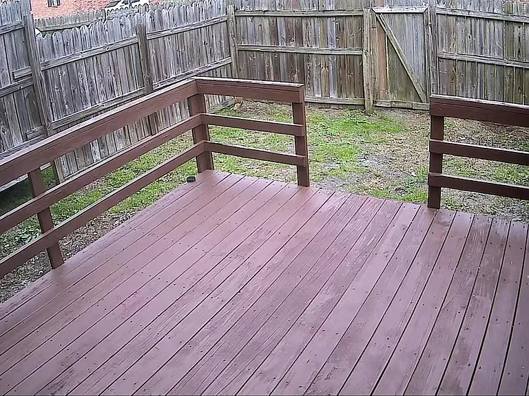 729 Colleton St #729 — Photo 36