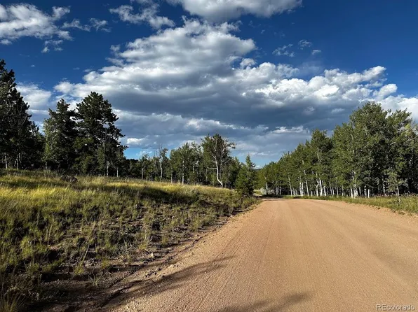 Co Road 403, Florissant, CO 80816