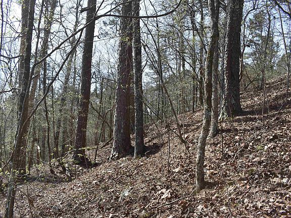 2nd image of 0 Old Dallas Rd W