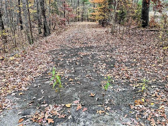 2nd image of Bear Run Trl