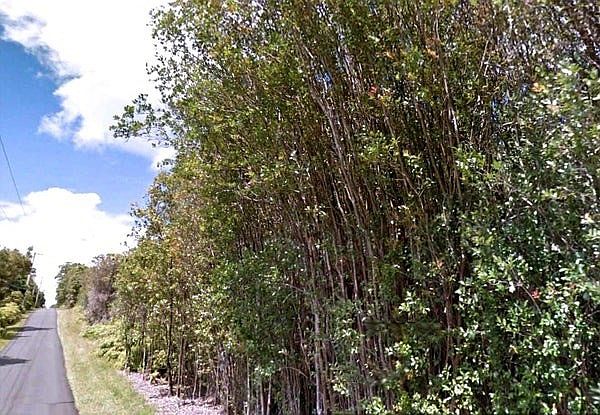 2nd image of 18-1267 Oahu St Lot 7