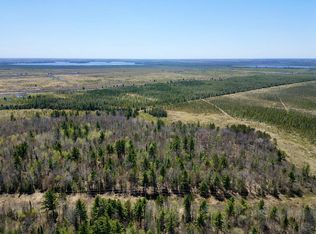 On Wykowski Rd, Three Lakes, WI 54562