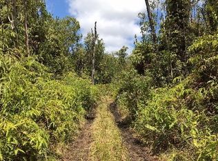 11-2113 Makoa Rd LOT 11, Volcano, HI 96785