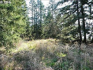 3rd image of 29403 NE 112th Ave