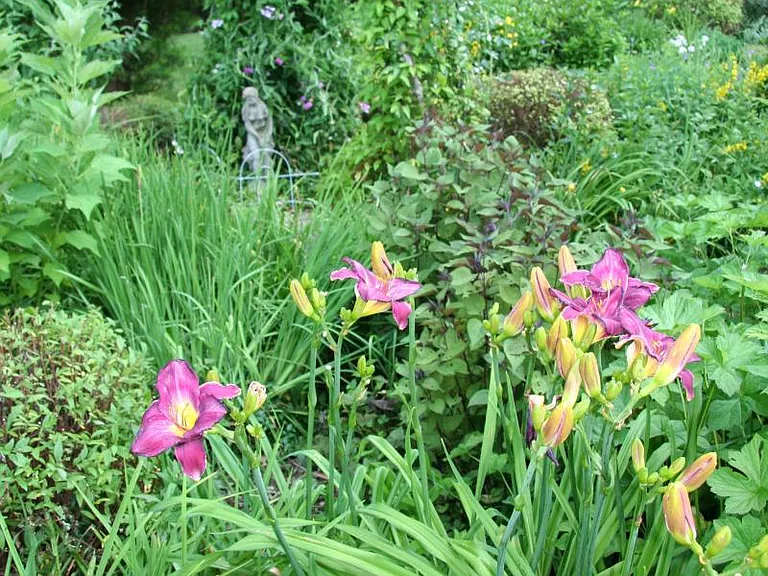Lush August gardens by the waterfall make for a lovely afternoon stroll.