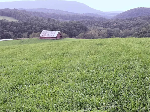 Rye Hollow Rd, Pearisburg, VA 24134