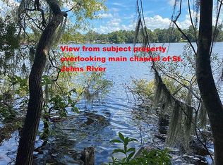 100 Drayton Island Rd, Georgetown, FL 32139