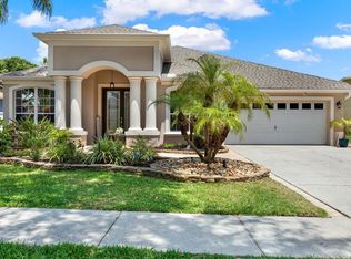 10449 Deerberry Dr, Land O Lakes, FL 34638