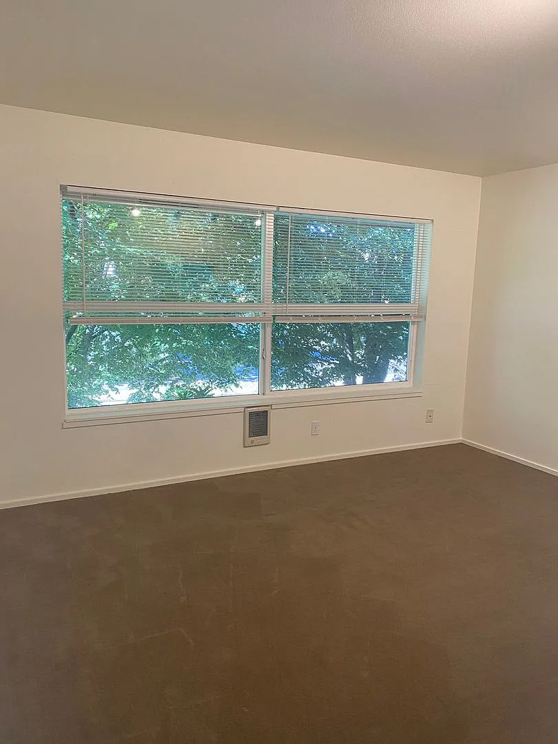 (343) Paletine Apts - 1 Bedroom / 1 Bathroom — Photo 4