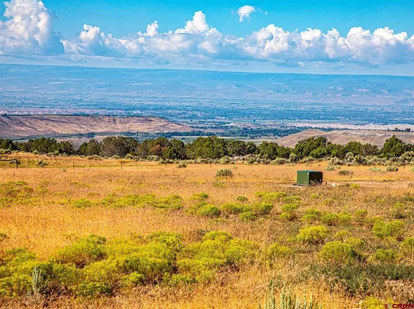 Lot 2 Cedar Mesa Road, Cedaredge, CO 81413