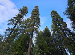Blair Rd, Pollock Pines, CA 95726