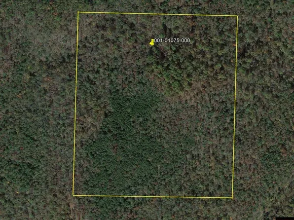 1100 Thisaway Rd, Yellville, AR 72687