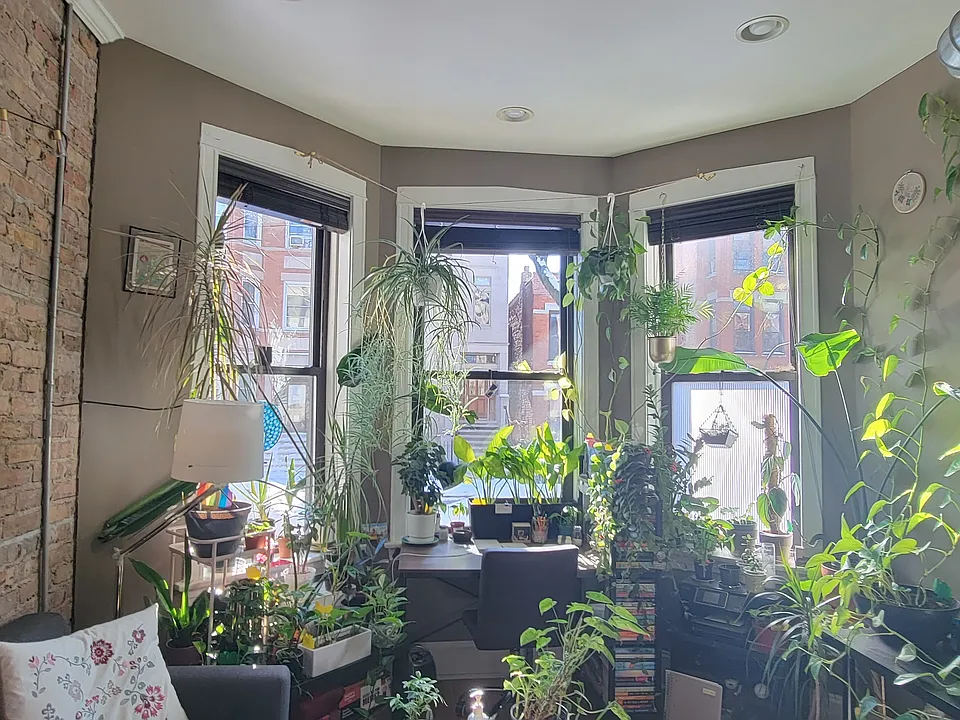 Living room bay windows facing south