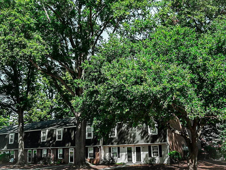 Towering oak trees and manicured grounds are the serene backdrop to The Mordecai's spacious multi-level townhomes.