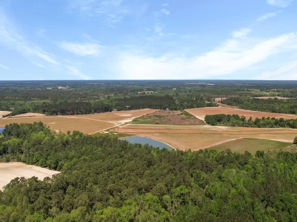 0 Middle Ground Rd Tract 2, Statesboro, GA 30461