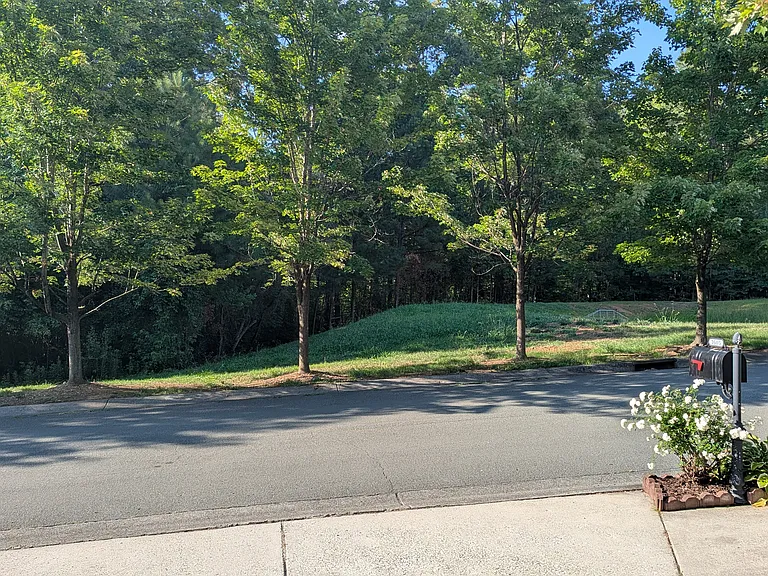 Front yard
