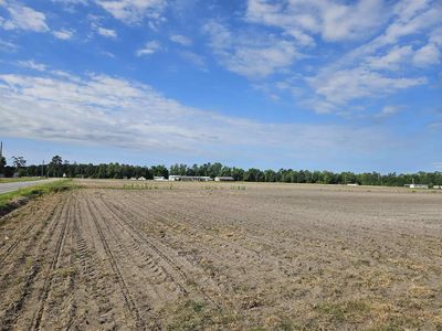 74.03 Acres - Highway 917, Nichols, SC, 29581