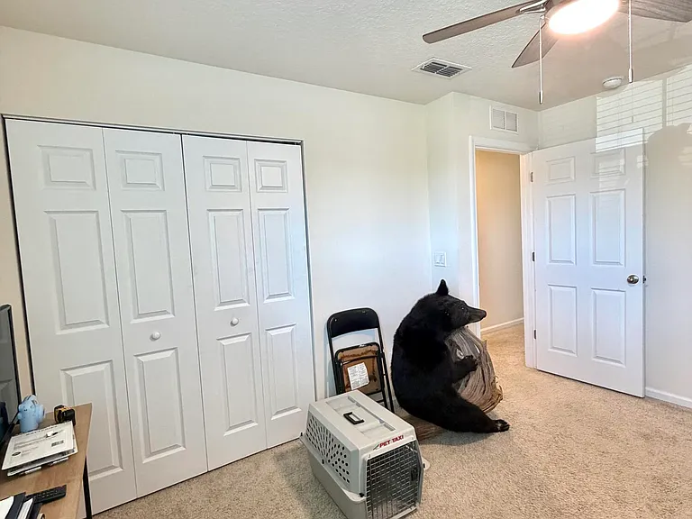 845 Observatory Pkwy — Photo 14