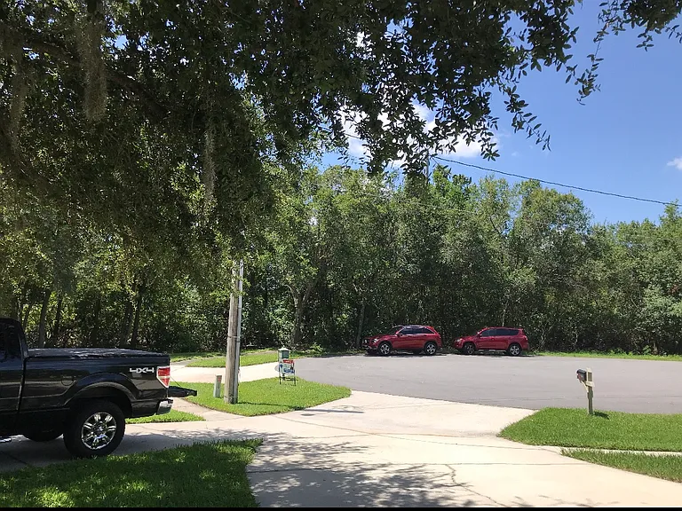 The front yard