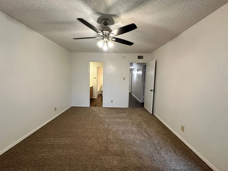833 White Rock St — Photo 12