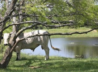 1206 County Road 4360, Decatur, TX 76234