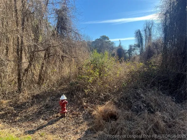 0 Minter School Rd, Sanford, NC 27332