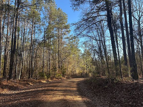 Photo Jan 26 2026 3 44 42 Pm