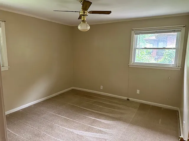 925 Potter Ln — Photo 6