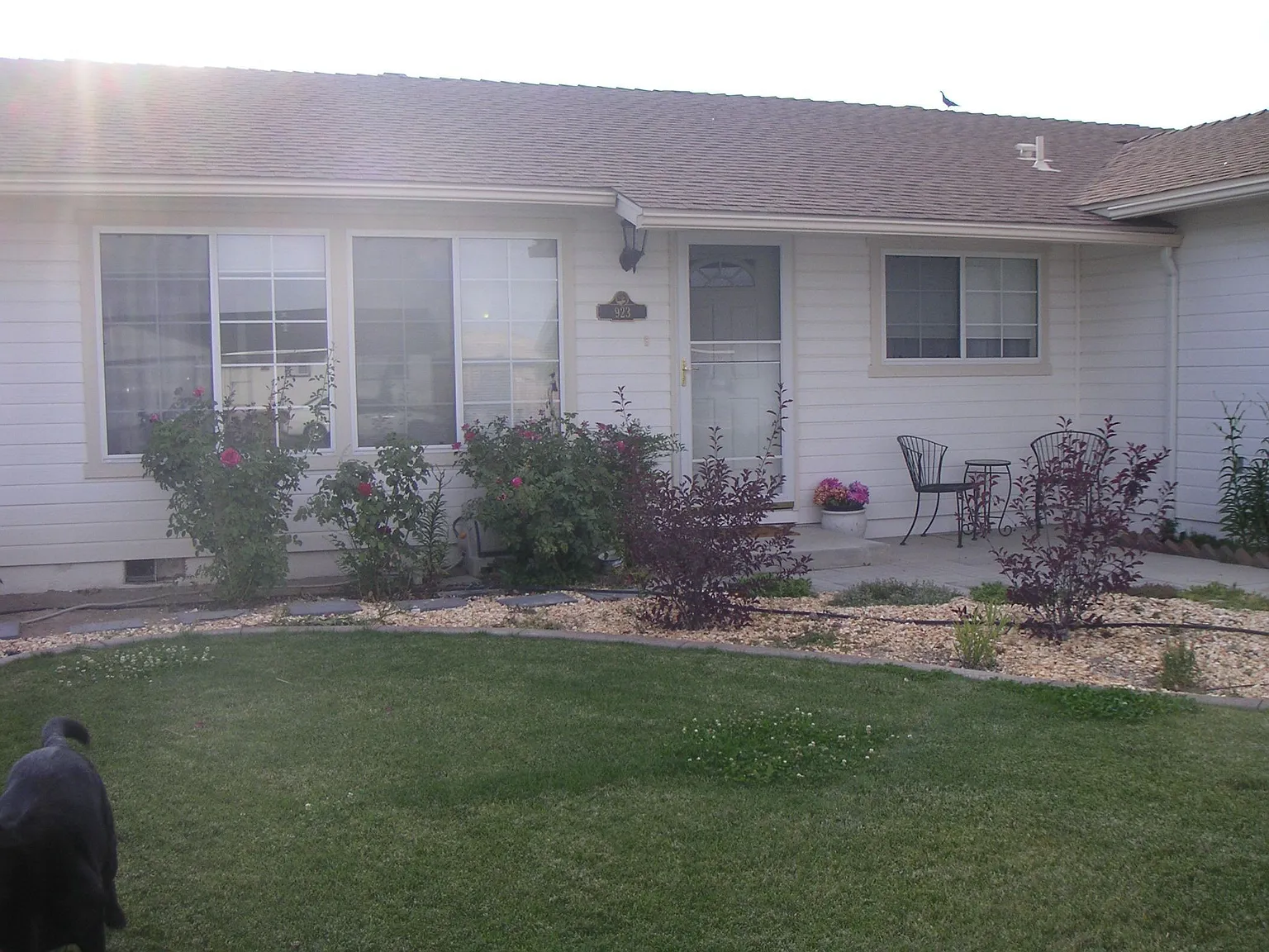 923 Nicole St photo 1