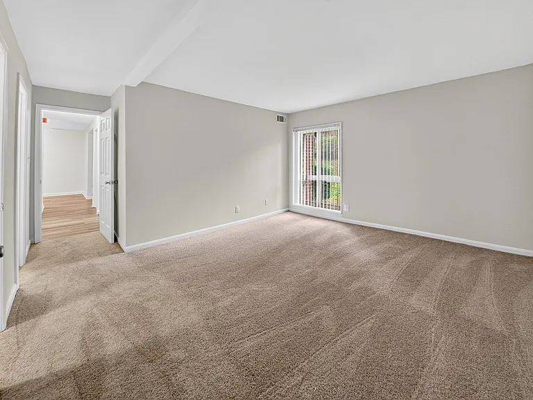 The Forest Apartments — Photo 19