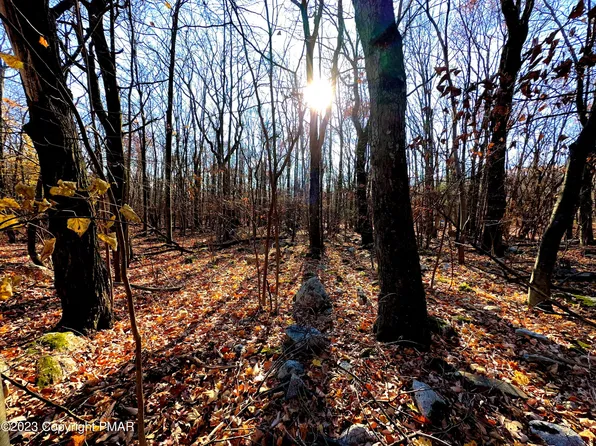 Donalds Rd Lot L-421, Effort, PA 18330