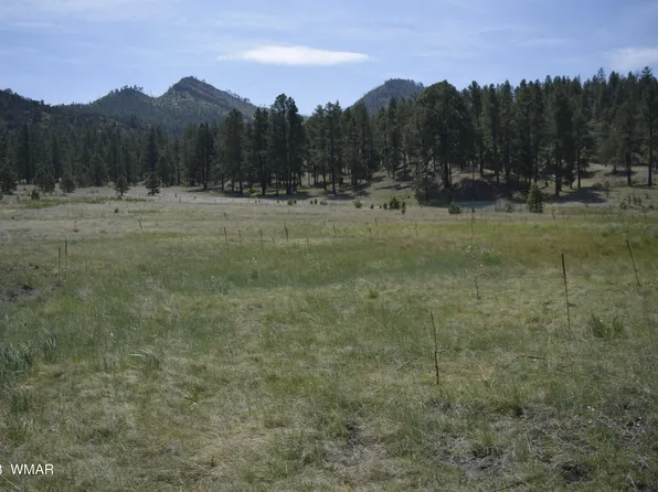 County Road 2275, Nutrioso, AZ 85932