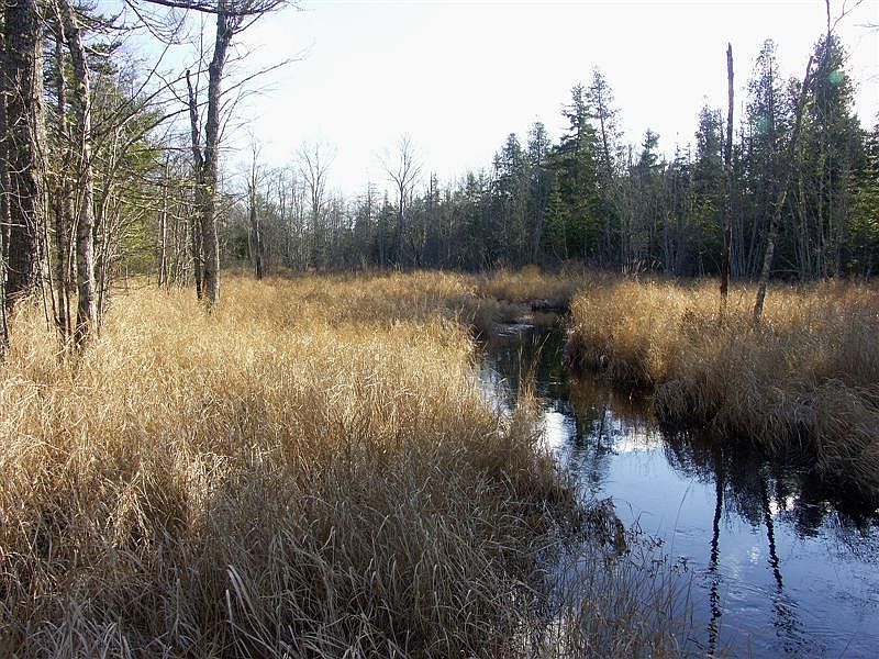 1st image of Lot 1 Woodland Drive