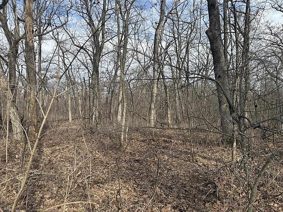 3rd image of 2+/- Acres Biggs Road