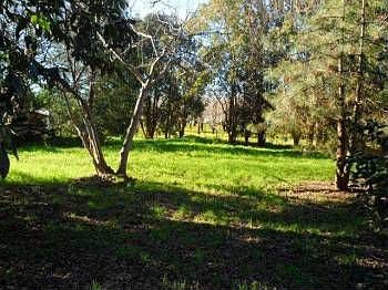 2nd image of 1827 Citrus Ave
