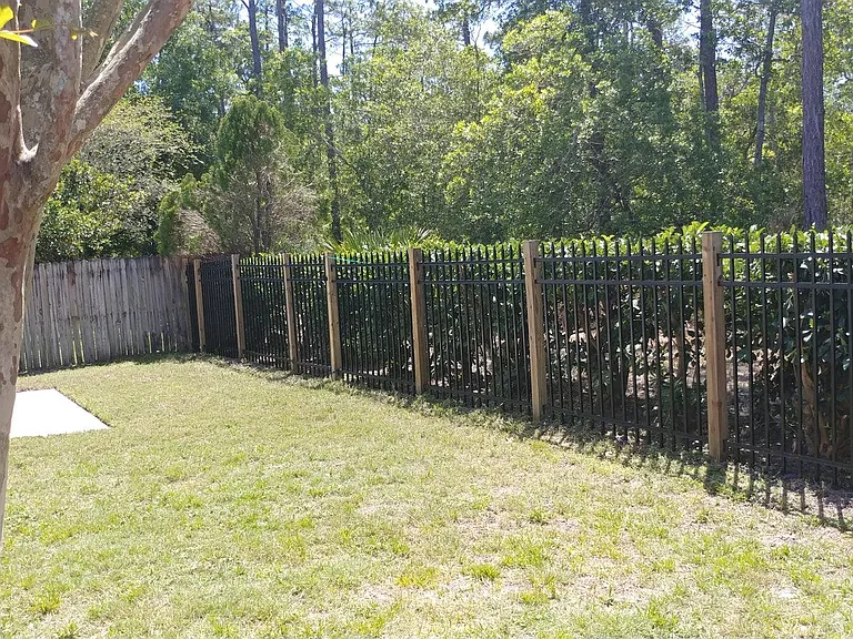 back yard