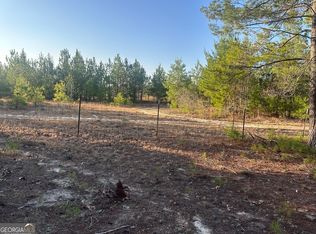 0 Horne Rd, Roberta, GA 31078