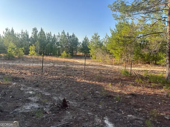 0 Horne Rd, Roberta, GA 31078
