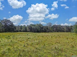 Holland Rd, Horton, AL 35980