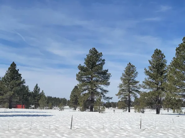 4603 Forrest Ranches Loop, Parks, AZ 86018