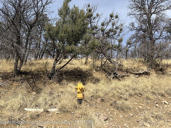 5th image of 12 Encino Rd