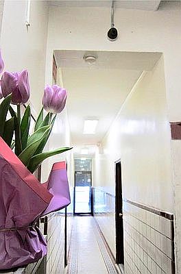 5th image of 262 W 22nd St APT 7