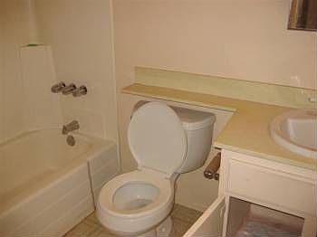 2nd image of 110 Pagel Pl