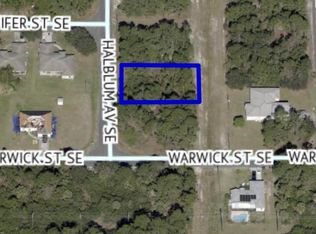 3287 Halblum Ave SE, Palm Bay, FL 32909